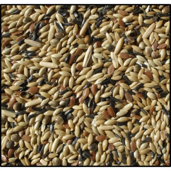 Karışık Kanarya Yemi Meyvesiz 1 Kg Karışık Kanarya Yemi Meyvesiz 1 Kg