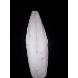 Kalamar Kemiği Tane