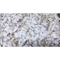 Kalamar Kemiği Kırık Toz 500 Gr