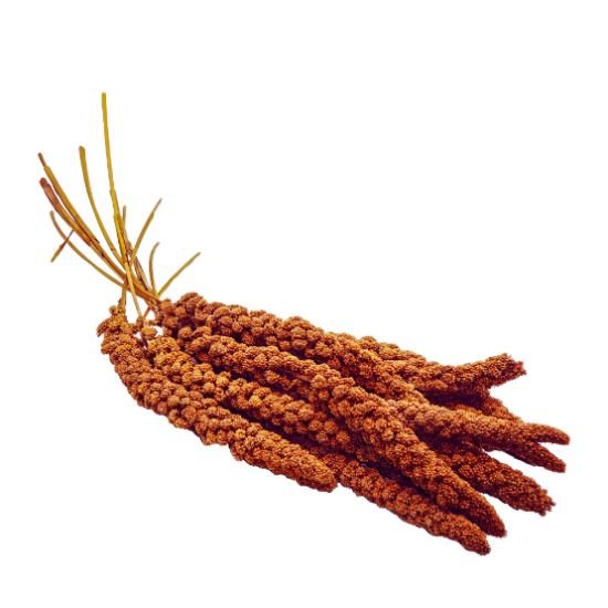 Kızıl Dal Darı 150 Gr